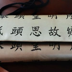 Woman's Oriental Evening Bag